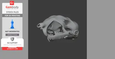Musky Rat-kangaroo Skull - Skull Replica STL