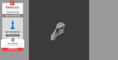 Mussaurus Skull - Skull Replica STL