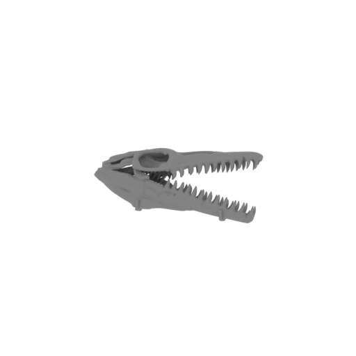 Mussaurus Skull.stl