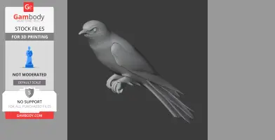 Asian emerald cuckoo - Prehistoric Animal STL