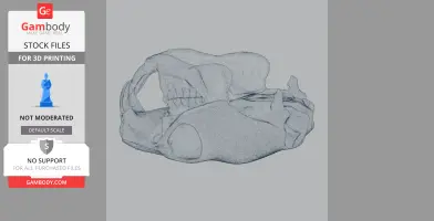 Naked Mole Rat Skull - Skull Replica STL