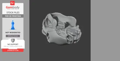 Naked Mole Rat Skull - Skull Replica STL