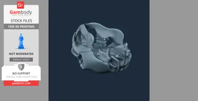 Naked Mole Rat Skull - Skull Replica STL
