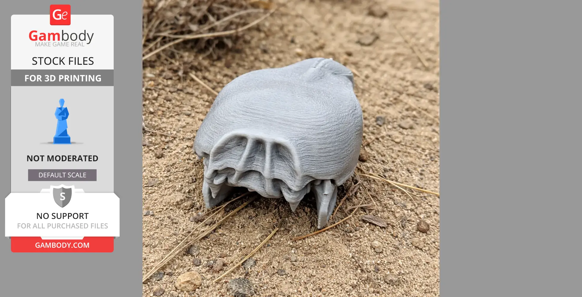 Naked Mole Rat Skull - Skull Replica STL