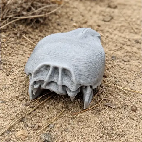 3D printed model of a naked mole rat skull on a sandy, natural surface.