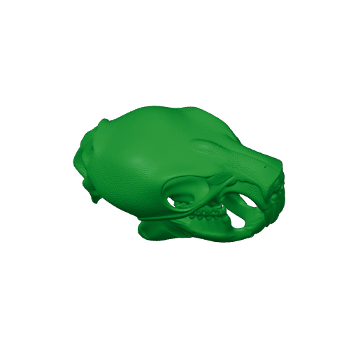 Naked Mole Rat Skull.3mf