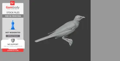 Asian glossy starling - Prehistoric Animal STL