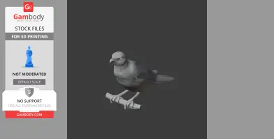Asian glossy starling - Prehistoric Animal STL