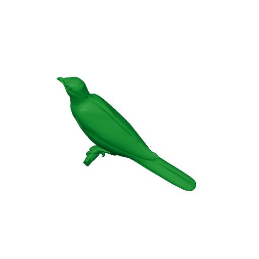Asian glossy starling.3mf