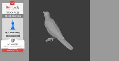 Asian glossy starling - Prehistoric Animal STL