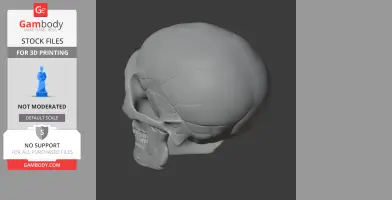 A 3D model of a Neanderthal skull, viewed from the side, intended for 3D printing.