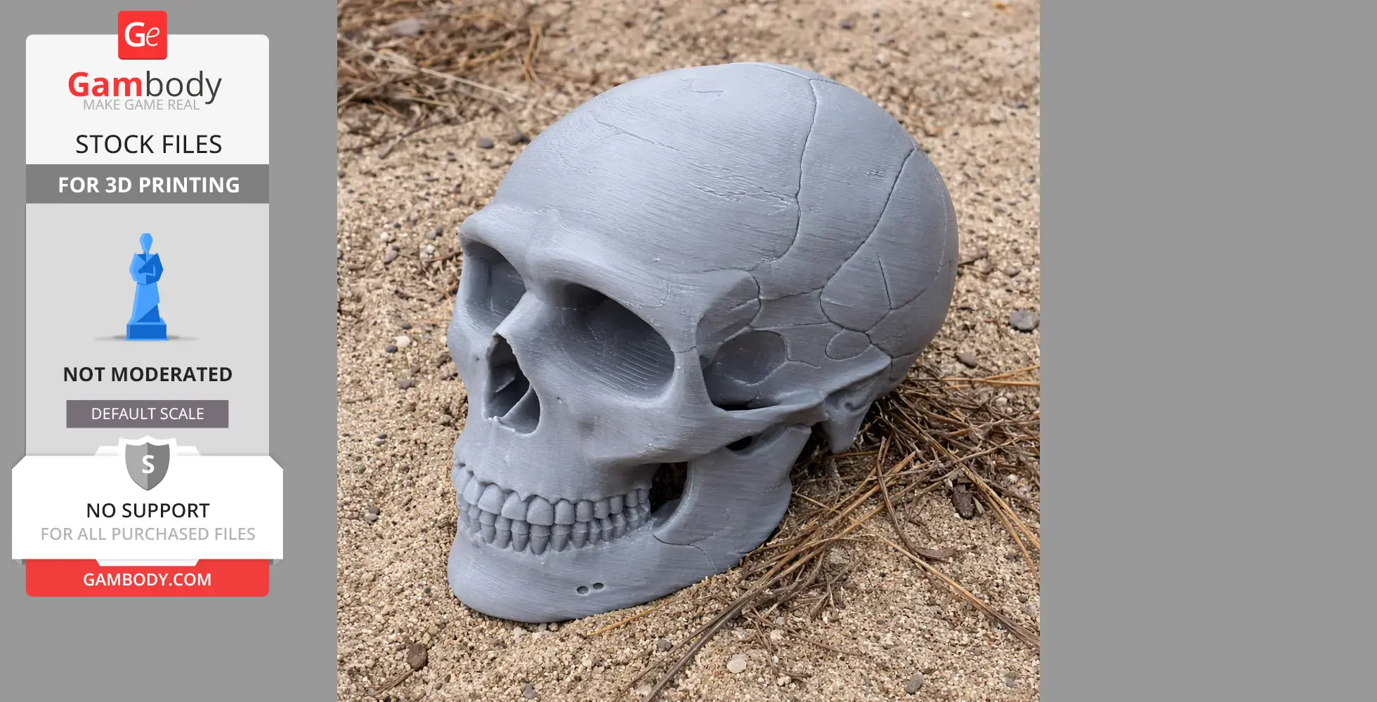 3D-printed Neanderthal skull replica on sand, showcasing realistic texture and details.