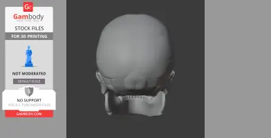 3D model of a Neanderthal skull from the back view, showcasing the cranial structure.