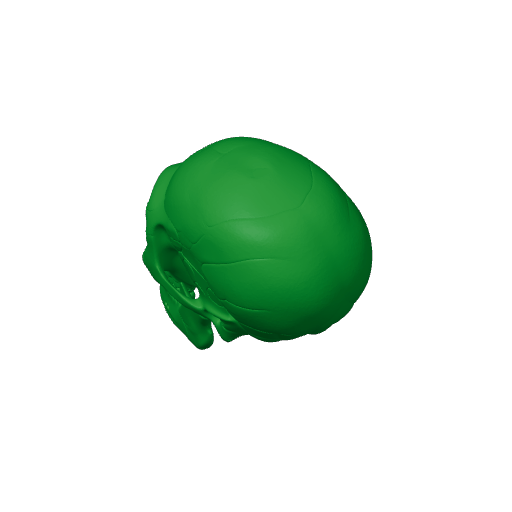 Neanderthal Skull.3mf