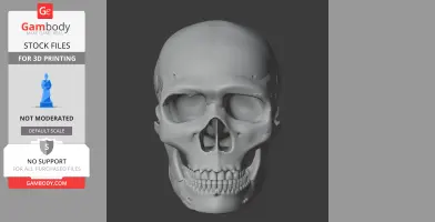 A detailed 3D model of a Neanderthal skull, front view, designed for 3D printing.