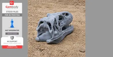 A 3D-printed gray Neovenator dinosaur skull replica resting on a gravel surface.