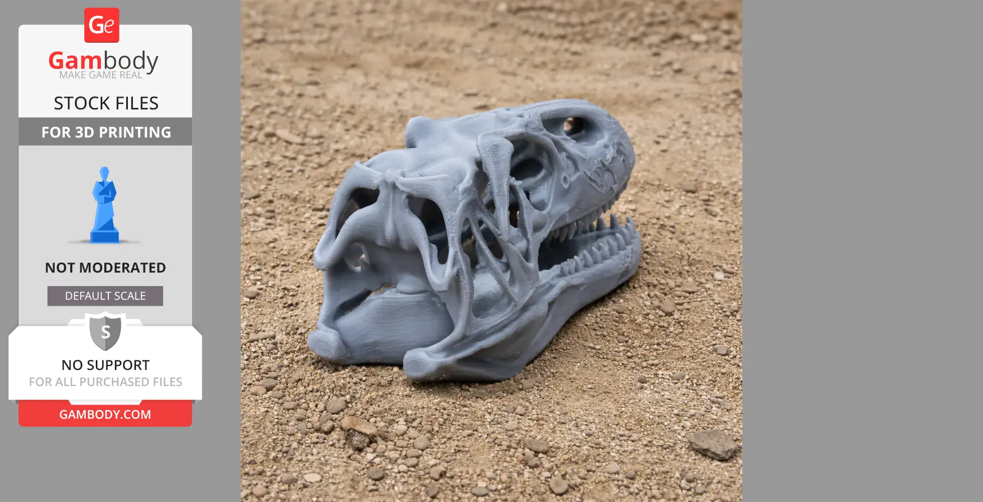 A 3D-printed gray Neovenator dinosaur skull replica resting on a gravel surface.