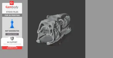 A detailed 3D model of a Neovenator dinosaur skull for printing.