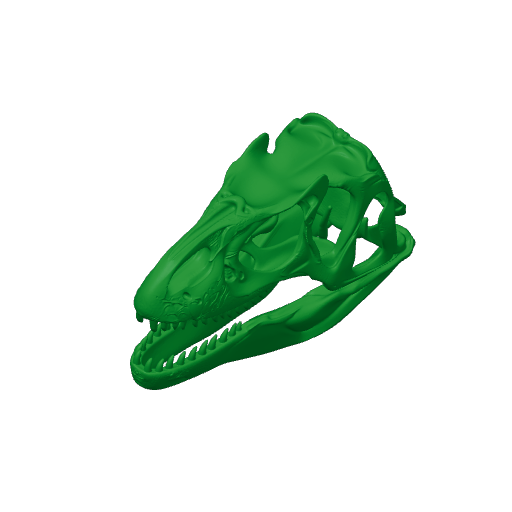 Neovenator Skull.3mf