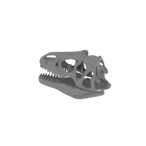Neovenator Skull.stl