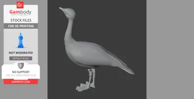 3D model of an Asian houbara bird in a standing pose, with detailed legs and a smooth body surface.