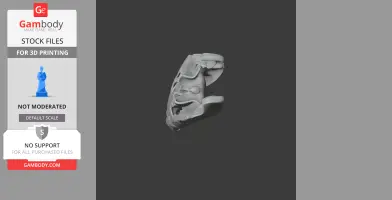 3D model of a juvenile Nile crocodile skull, viewed in profile for printing.