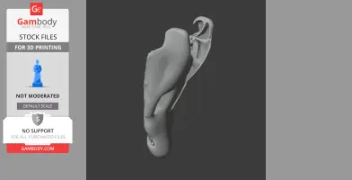 3D model of a juvenile Nile crocodile skull, side view, ready for 3D printing.