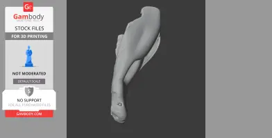 3D model of a juvenile Nile crocodile skull replica for 3D printing.