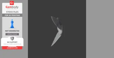 3D model of an Asian palm swift in flight, showcasing its streamlined body and wings.