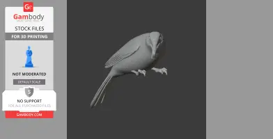 Asian red-eyed bulbul - Prehistoric Animal STL