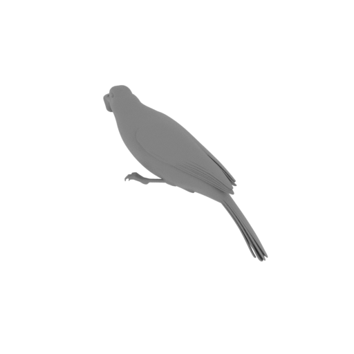 Asian red-eyed bulbul.stl