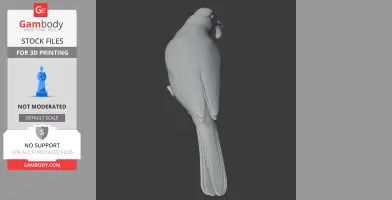 Asian red-eyed bulbul - Prehistoric Animal STL