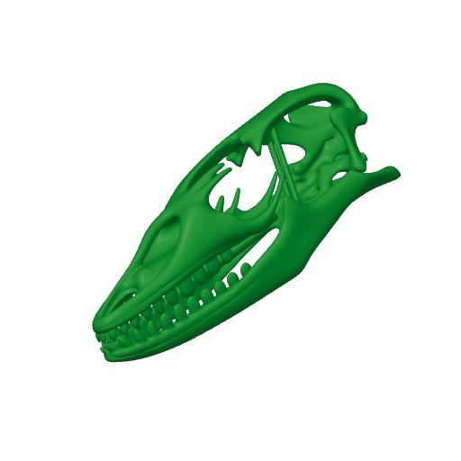 Nile Monitor (Savannah) Skull.3mf