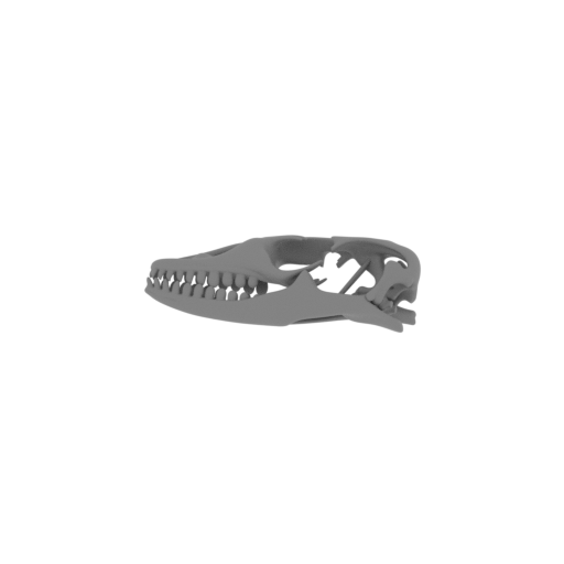 Nile Monitor (Savannah) Skull.stl
