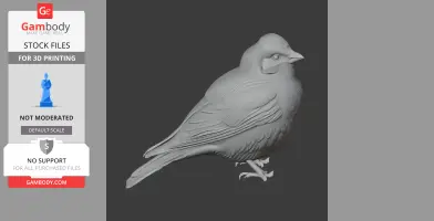3D model of an Asian rosy finch, showcasing detailed feathers and realistic bird anatomy.