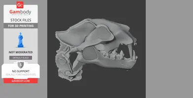 Nimravus Skull - Skull Replica STL