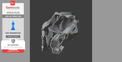 Nimravus Skull - Skull Replica STL