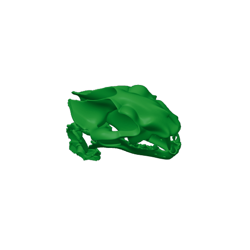 Nimravus Skull.3mf