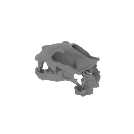 Nimravus Skull.stl