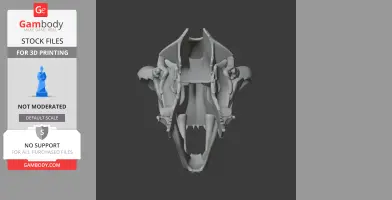 Nimravus Skull - Skull Replica STL