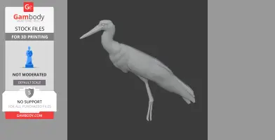 Asian woolly-necked stork - Prehistoric Animal STL