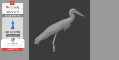 Asian woolly-necked stork - Prehistoric Animal STL