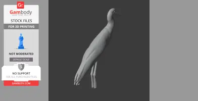 Asian woolly-necked stork - Prehistoric Animal STL