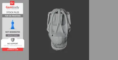 Ninjatitan Skull - Skull Replica STL