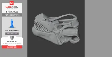 Ninjatitan Skull - Skull Replica STL
