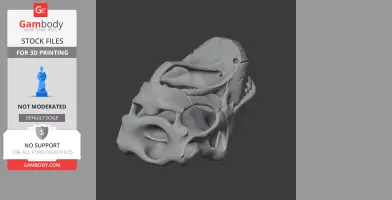 Ninjatitan Skull - Skull Replica STL