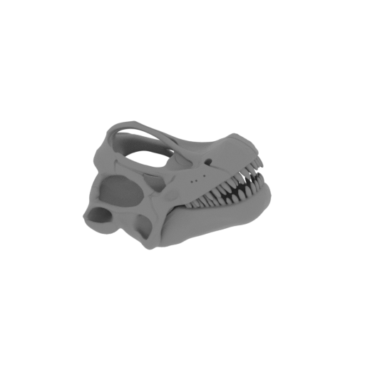 Ninjatitan Skull.stl