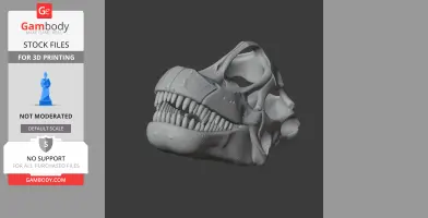 Ninjatitan Skull - Skull Replica STL