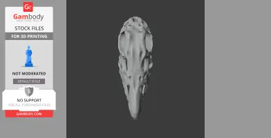 Nodocephalosaurus Skull - Skull Replica STL