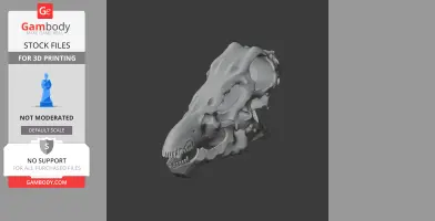 Nodocephalosaurus Skull - Skull Replica STL